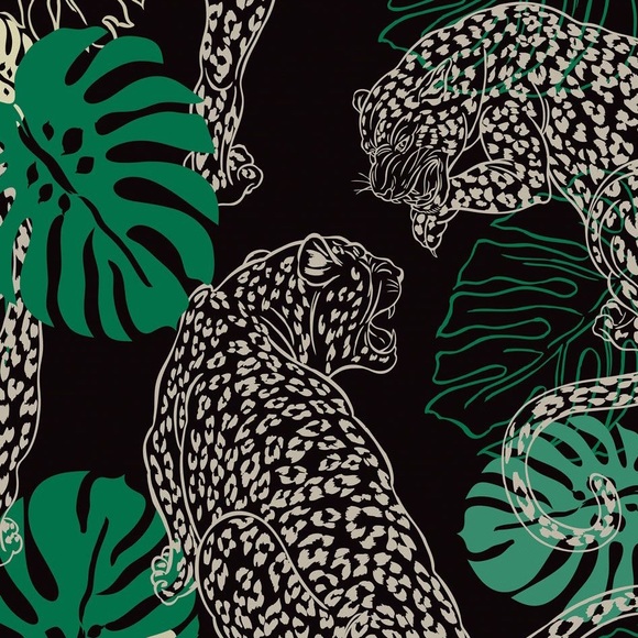 ⚡️Live Show Listing⚡️ - Picture 3 of 11